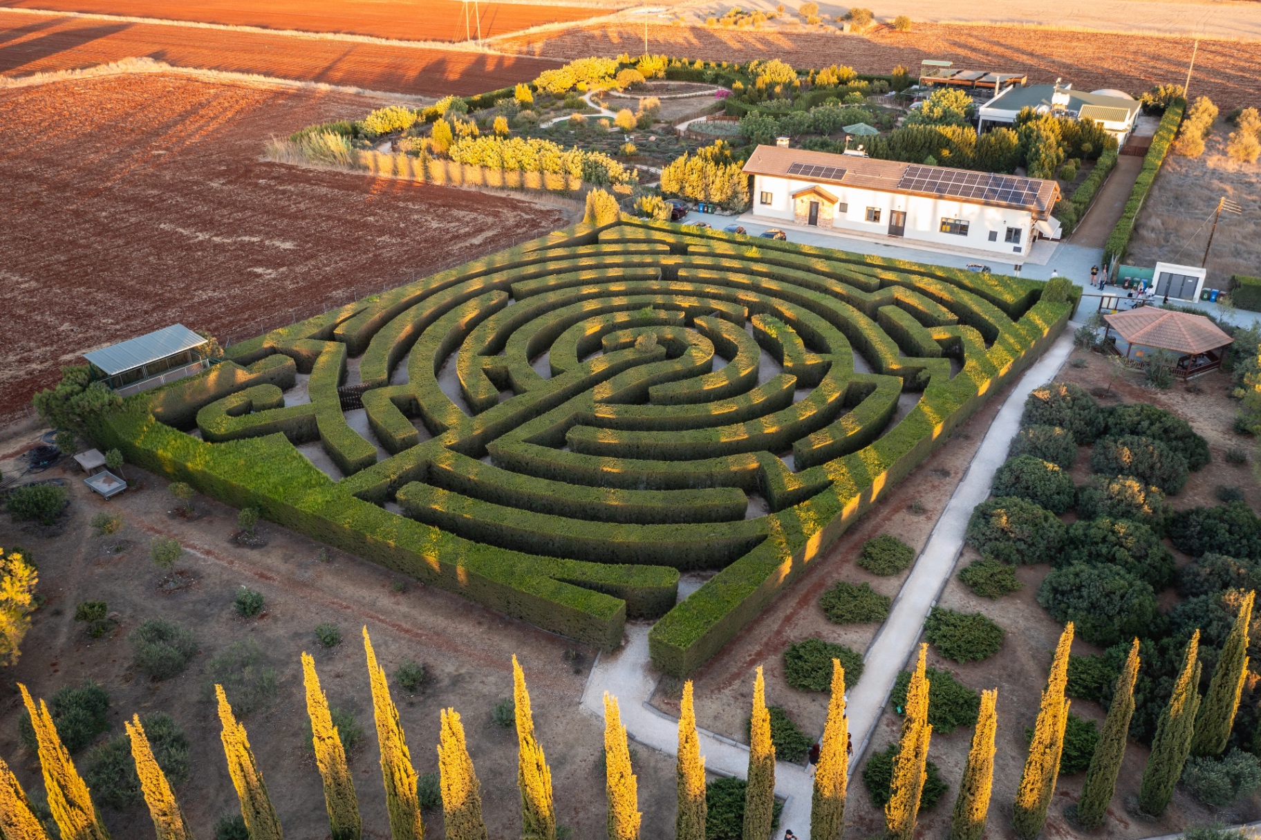 Aerial view of a geometric labyrinth at golden hour, symbolising disciplined strategy